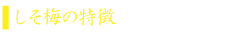 タイトル　しそ特徴.png