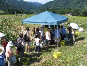 IMG_9382.JPG