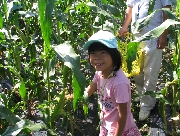 IMG_9383.JPG