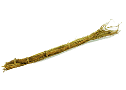 slide0015_image093.png