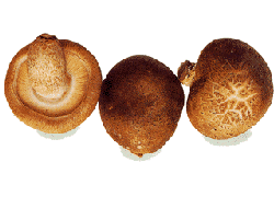 slide0013_image073.png
