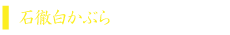 かぶら.png