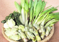 img10214007734.jpg