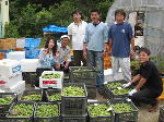 slide0157_image331.png